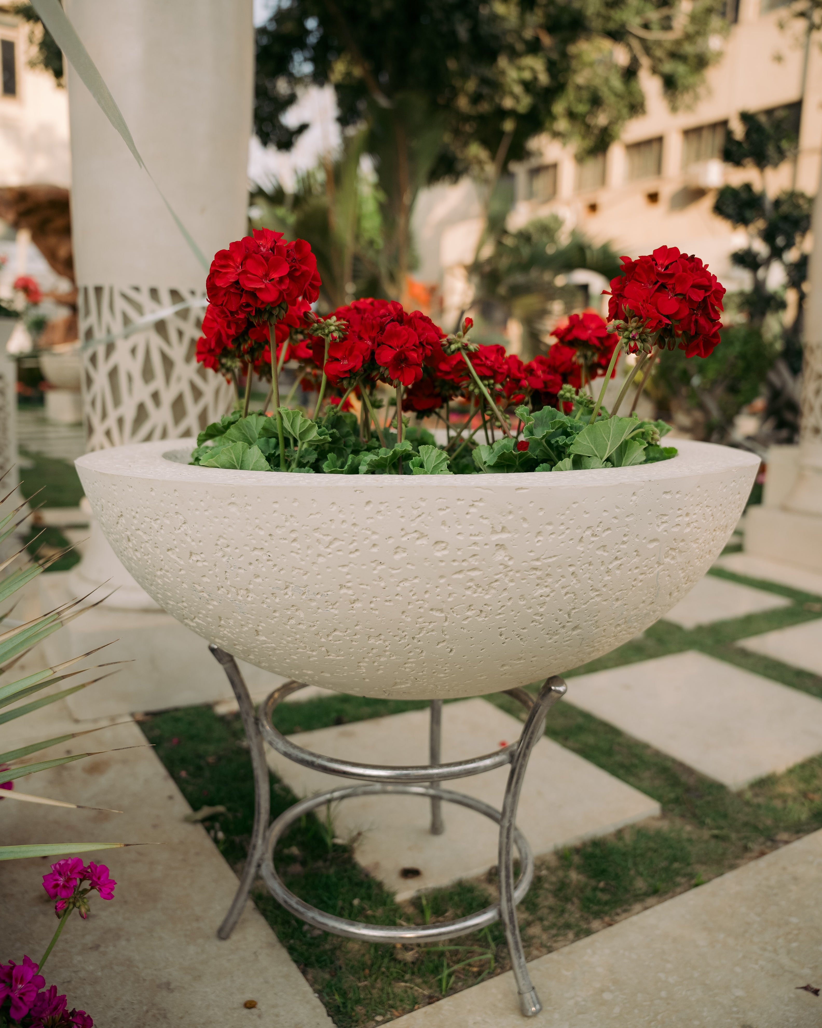 حوض فيبر