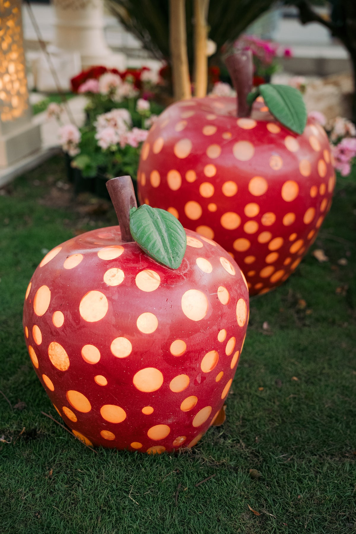 Decorative Lighting Apples