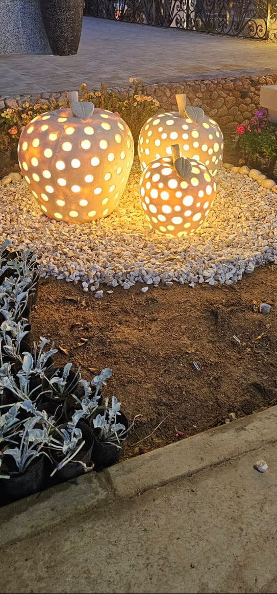 Decorative Lighting Apples
